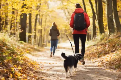 Time Management Secrets for Busy Dog Walkers