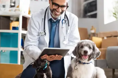 Building Relationships with Local Veterinarians and Pet Businesses