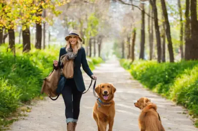 Eco-Friendly Dog Walking: Sustainable Practices for Your Business