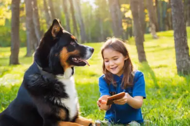 Comparing Online vs. In-Person Dog Training: Effectiveness and Limitations