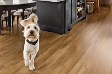 Scratch-Resistant Flooring Options for Homes with Dogs