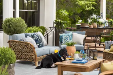 Creating a Dog-Friendly Outdoor Living Space