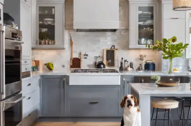 Renovating Your Kitchen with Your Dog in Mind