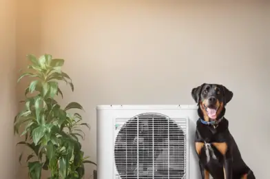 Upgrading Your HVAC System for Better Air Quality in a Dog-Friendly Home