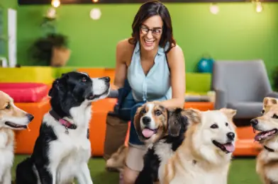 Building Strong Client Relationships in the Dog Daycare Industry