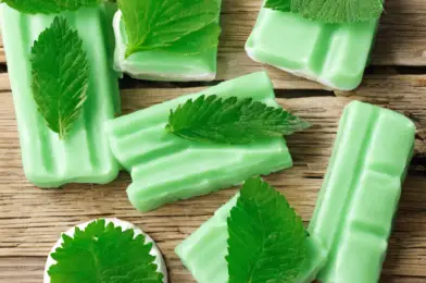 DIY Dental Chews: Minty Fresh Breath Treats